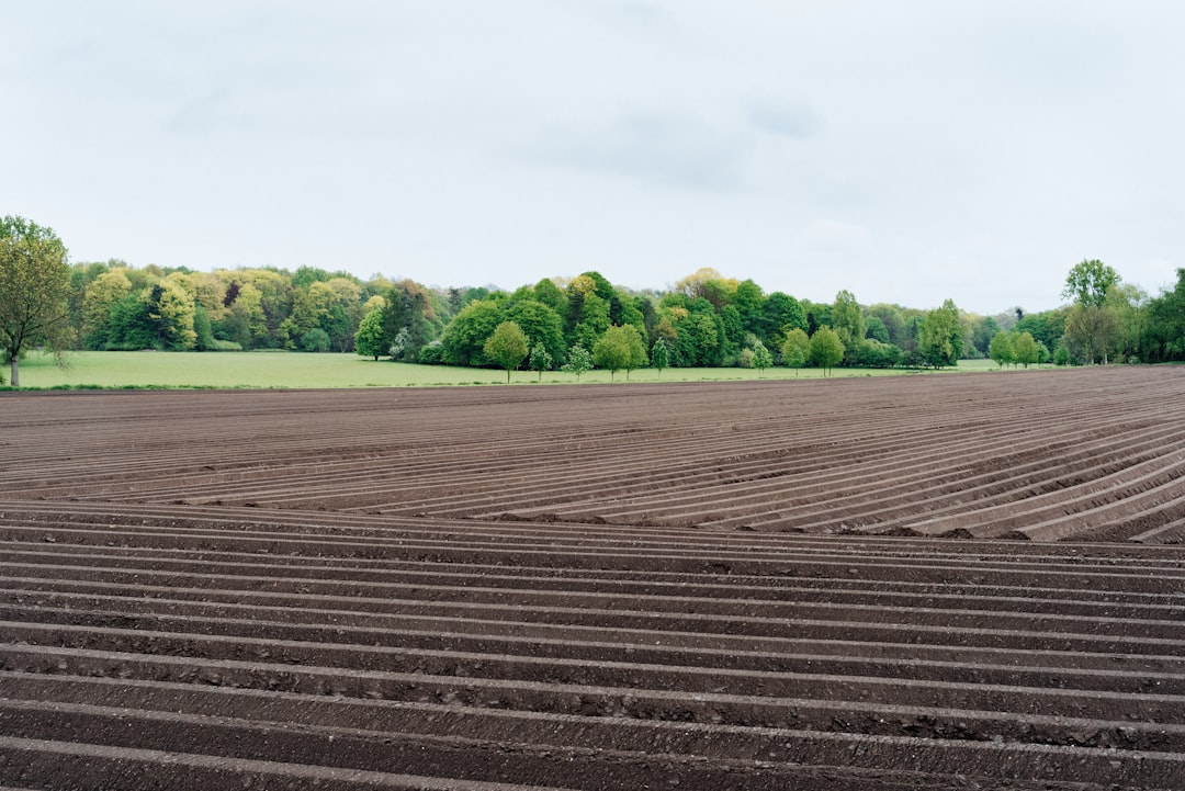 Photo Trees, Farming